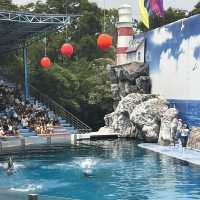 ซาฟารีเวิลด์ (Safari World Bangkok) - สวนสัตว์ในกรุ