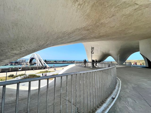 桃園新屋 全台唯一客家漁港
