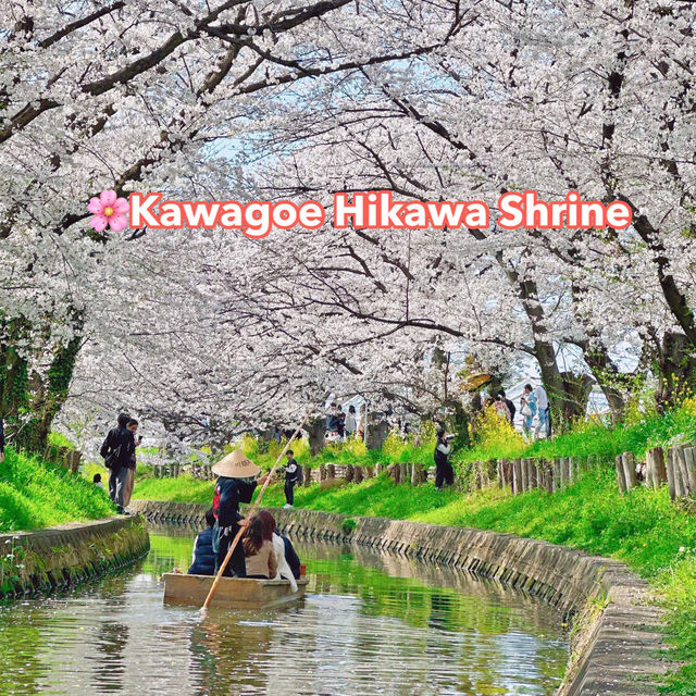  🌸Kawagoe Hikawa Shrine