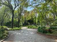 【都庁の隣の癒し公園★】新宿中央公園