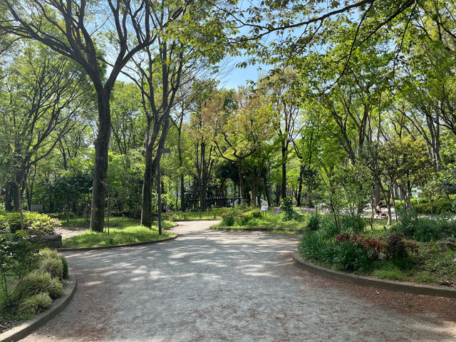 【都庁の隣の癒し公園★】新宿中央公園