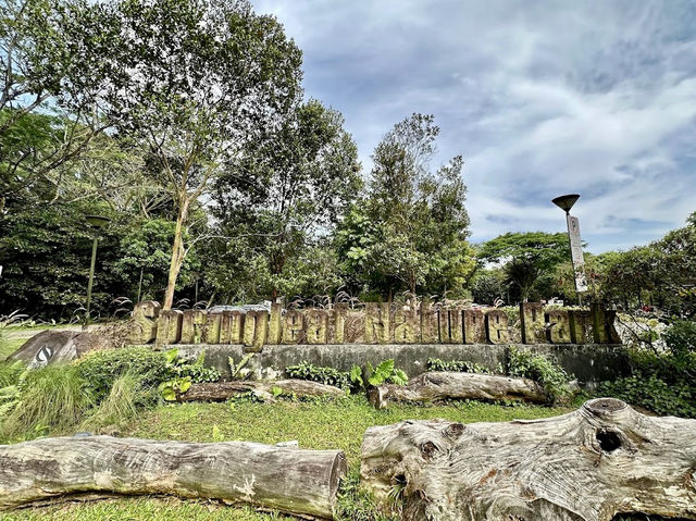 Serene and Peaceful Park