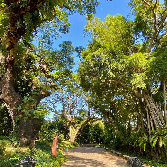 吉隆坡鄧普勒公園：綠洲中的寧靜