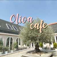 ชมต้นโอลีฟ ณ Oliva cafe