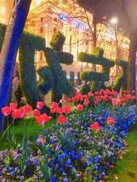 ดอกทิวลิปที่ The Bund เซี่ยงไฮ้