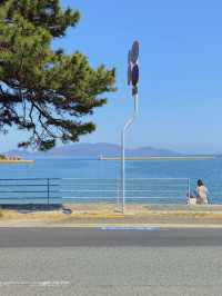 【自然のアートの島🎨直島】