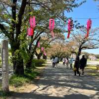 【岩手】東北で人気の桜の名所🌸