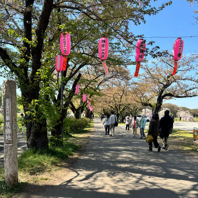 【岩手】東北で人気の桜の名所🌸