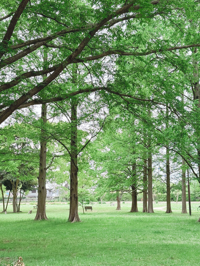 GWプランがないあなたにも楽しめる都内公園