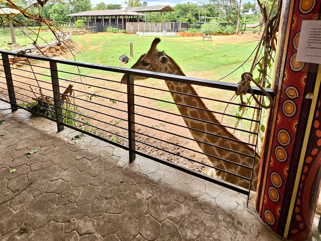 Nakhon Ratchasima Zoo