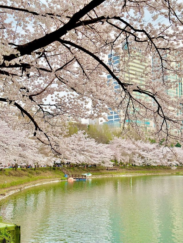 날씨 졸은 봄데이트 하기 좋은 곳💛