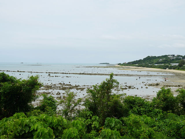 【沖繩】知念岬公園：無際太平洋景觀，適合春天旅遊