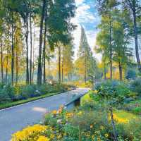 「東京景點：渋谷區互動植物園，適合全家人」