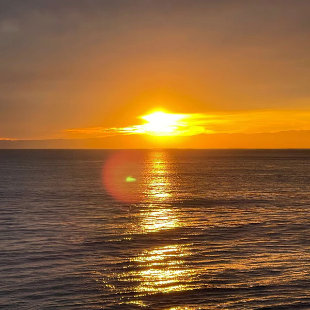 逗子海岸：夕陽美景、自然生態，絕對值得一遊