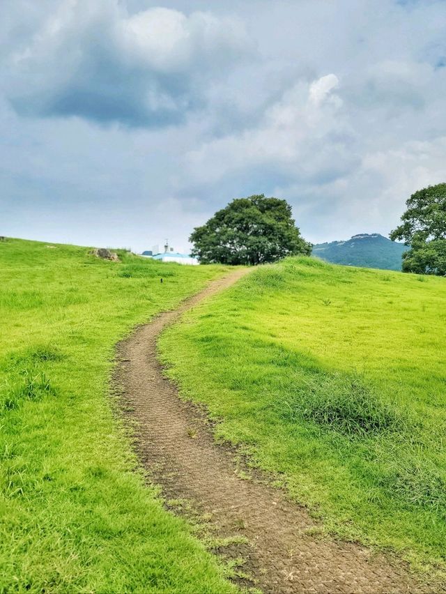 도심에서 즐기는 초록동산 고분군💚