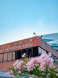 母親節的校園漫步 —— 香港理工的詩意時光