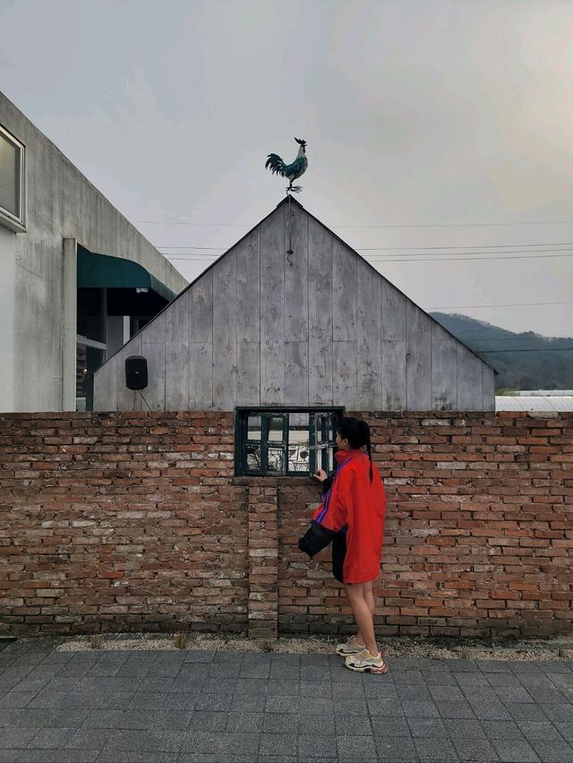 유럽 중세시대로 시간여행하는 춘천카페🧡