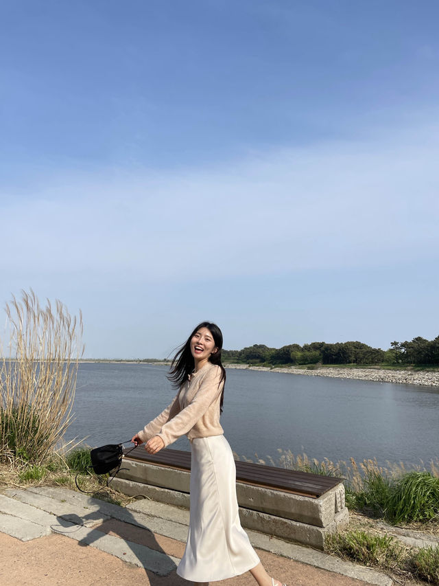 비행기를 5분마다 볼 수 있는 곳 ✈️💖