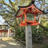 일본여행 후쿠오카 스미요시 신사住吉神社