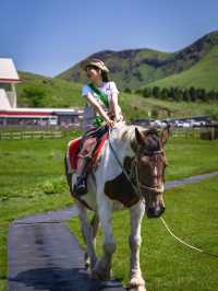 大草原をお馬とお散歩🐴🥕