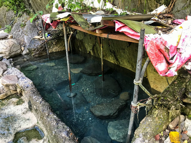 新竹小錦屏野溪溫泉+苗栗觀霧國家森林遊樂區