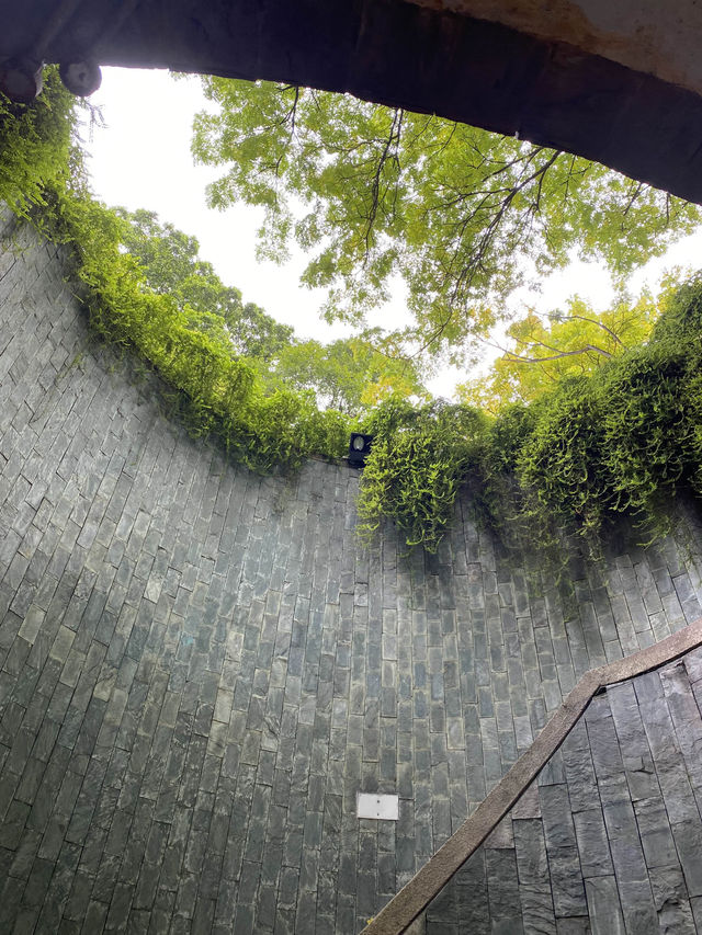Fort Canning Park | Singapore