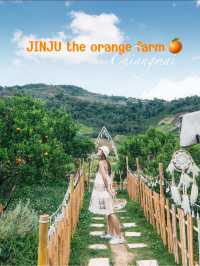 สวนส้มเชียงใหม่ แต่บรรยากาศเกาหลีเกาใจสุด🍊