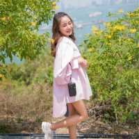 City Coffee Pattaya