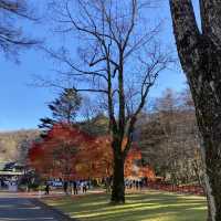 Slow life ที่ Nikko , Japan