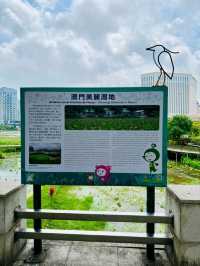 Wetland in Avenida da Praia, Taipa