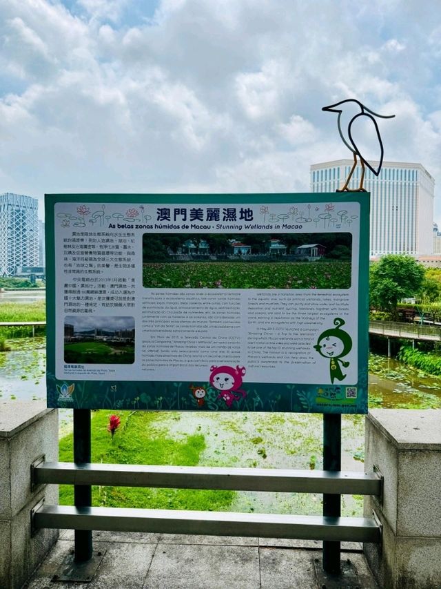 Wetland in Avenida da Praia, Taipa
