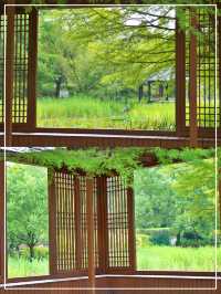 여름 수국 구경하기 좋은 전주수목원🌳