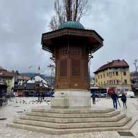 Resilience and Charm: Sarajevo City
