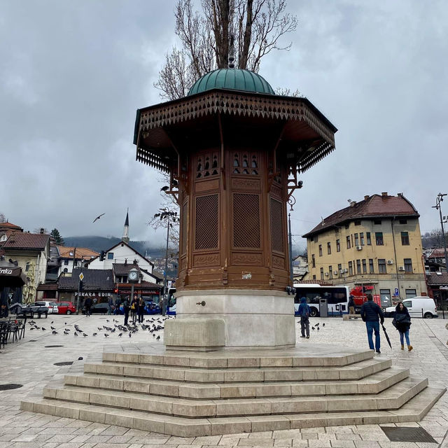 Resilience and Charm: Sarajevo City