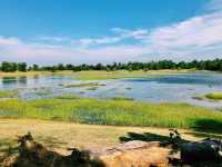 SADOK KOK THOM HISTORICAL PARK