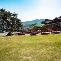 🇰🇷 전남 고흥 한옥 감성 숙소