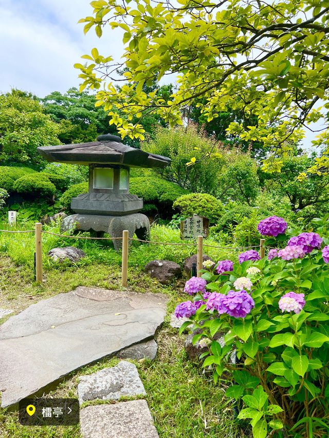 〜神奈川県〜秘密にしてた鎌倉穴場スポット🍽️重要文化財で贅沢ランチ🍽️