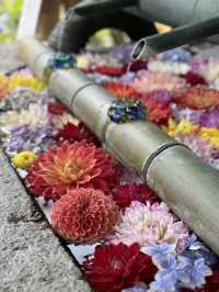 【奈良】花手水で有名な古刹
