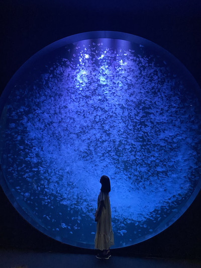 Yamagata🇯🇵】加茂水族館🪼 | Trip.com 鶴岡