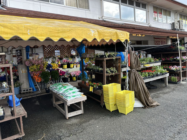 佐賀・武雄温泉。地元の特産品が揃う『武雄温泉物産館』