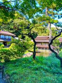 〜神奈川県〜初夏を感じる都会の癒しスポット