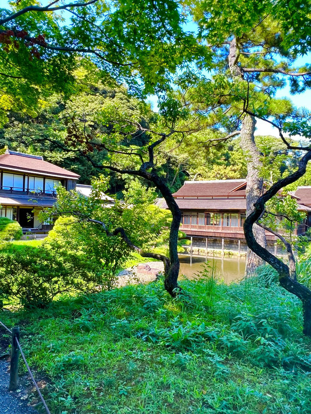 〜神奈川県〜初夏を感じる都会の癒しスポット