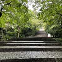 大阪近郊必去！達摩的家「勝尾寺」