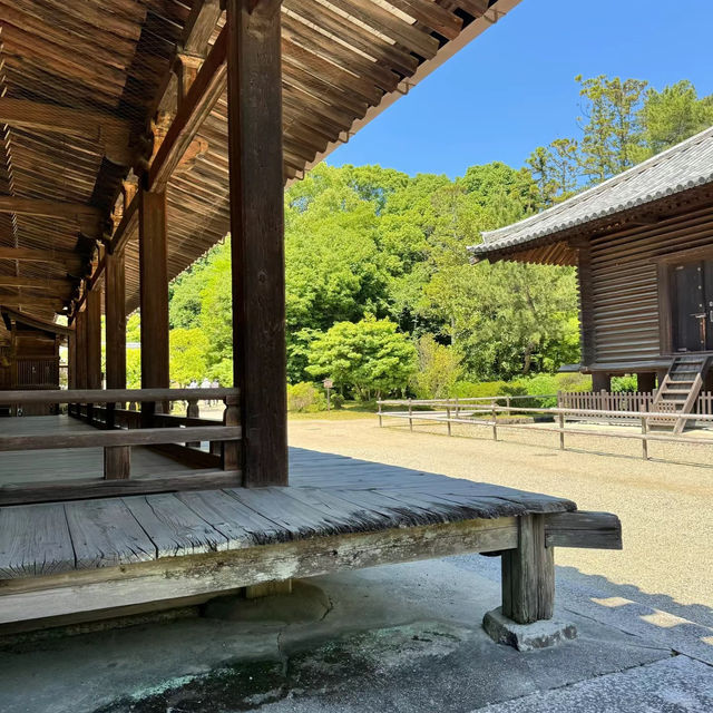 伽耶院：古老寺院庭園，心靈淨化