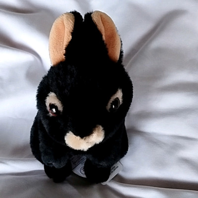 奄美大島の黒うさぎちゃん♡うさぎ🐰 | Trip.com 宇検村