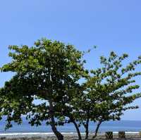 【台湾】離島へもぜひ！小琉球🏝️