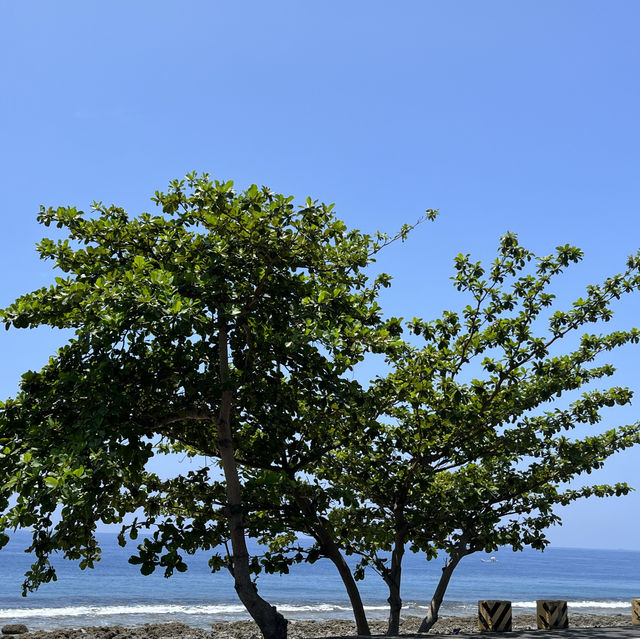 【台湾】離島へもぜひ！小琉球🏝️