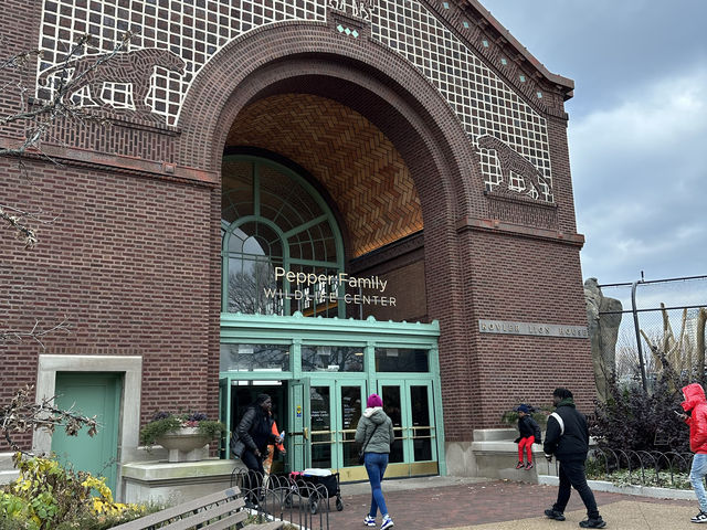 【美國🇺🇸芝加哥】☀️免費入場☀️林肯公園動物園，觀賞動物，適合全天遊玩