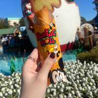 Tokyo Disneyland หน้าหนาวว