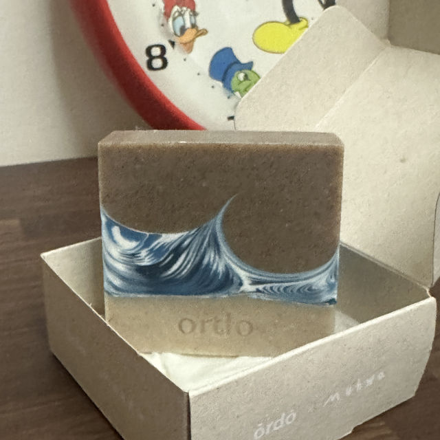 강릉에서 전객실이 오션뷰인 펜션🌊